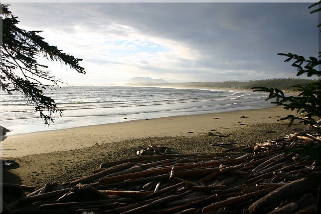 Long Beach Tofino